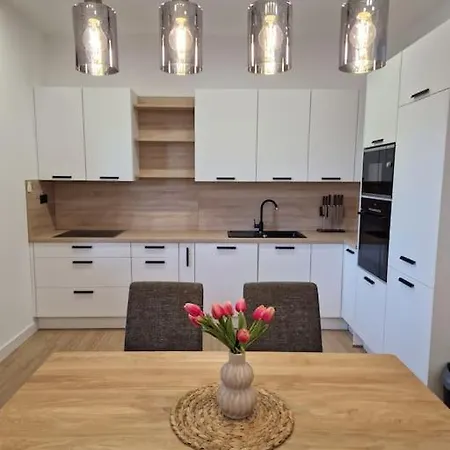 Apartment New Charming *